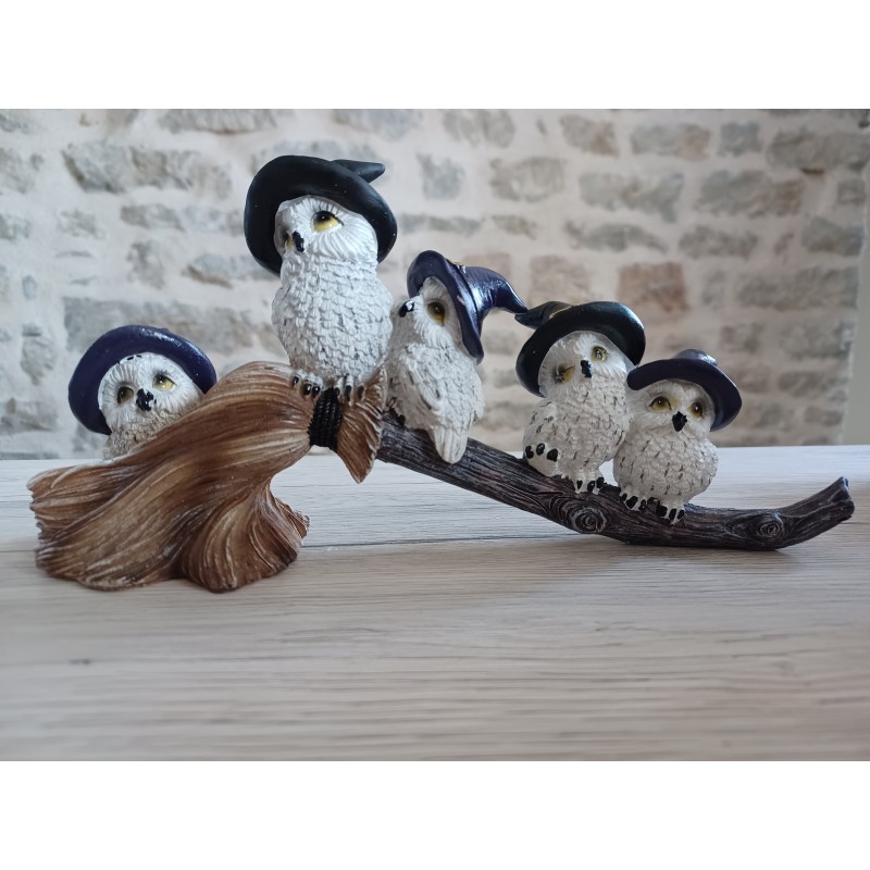 Chouettes sur balais