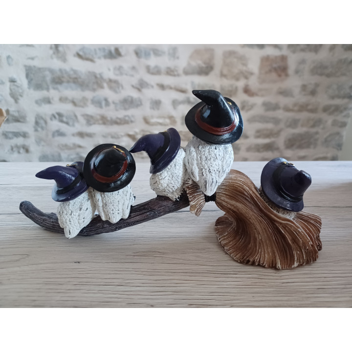 chouettes sur balais