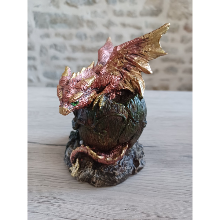 dragon éclos