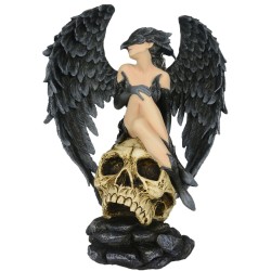 Fée masque de corbeau...