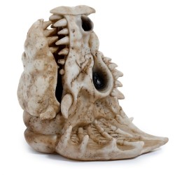 Brûleur d'Encens Shadows of...