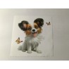 lingette chien