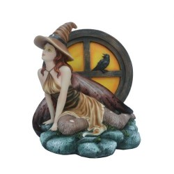 Fée sorcière et son corbeau