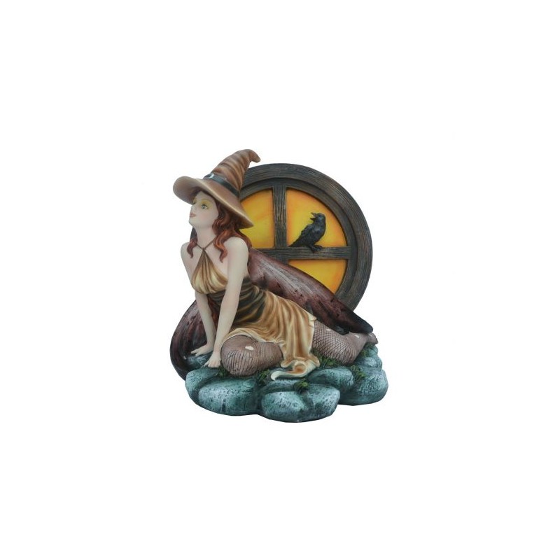 Fée sorcière et son corbeau