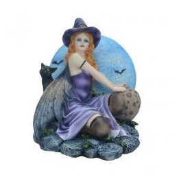 Fée sorcière violette et son chat noir