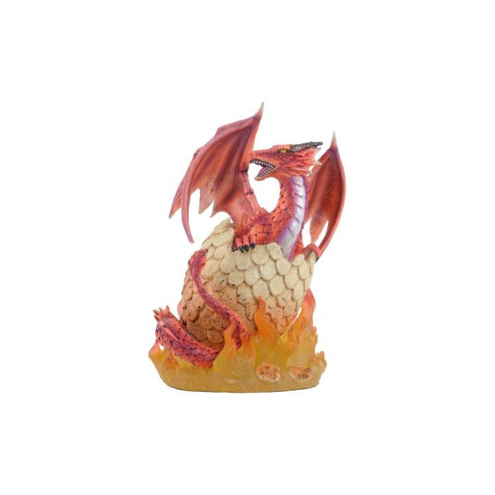 Bébé dragon du feu sortant de son œuf