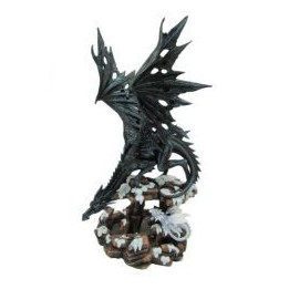 Dragon noir et son bébé blanc