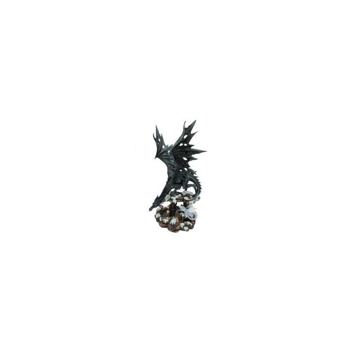 Dragon noir et son bébé blanc