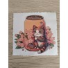 lingette chat et canette