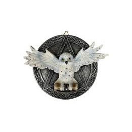 chouette Edwige sur pentacle