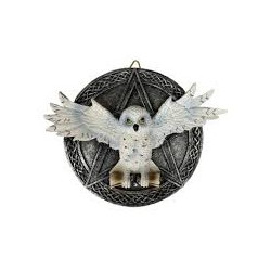 chouette Edwige sur pentacle