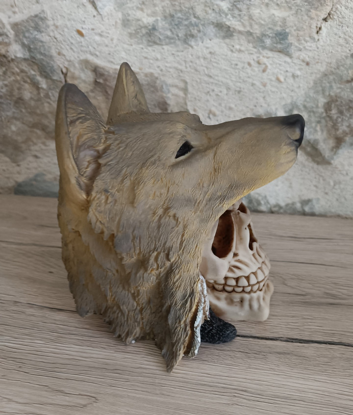 Crâne de Décoration - Tête de Loup
