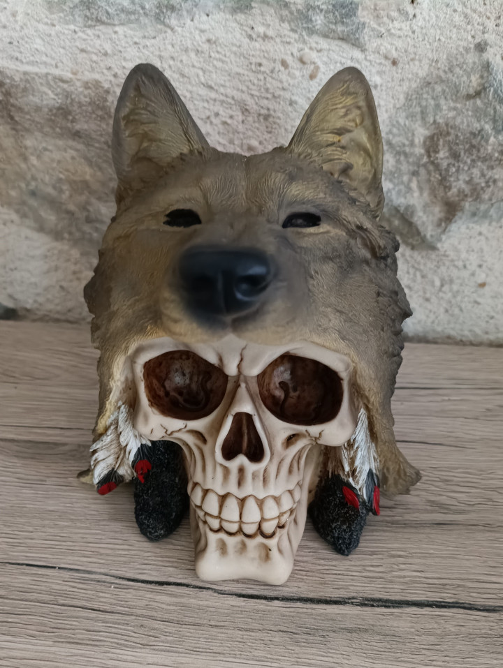 Crâne de Décoration - Tête de Loup