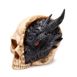 Figurine dragon noir dans un Crâne