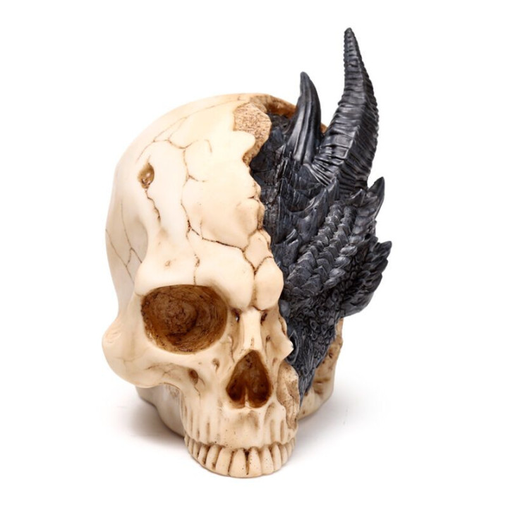 Figurine dragon noir dans un Crâne