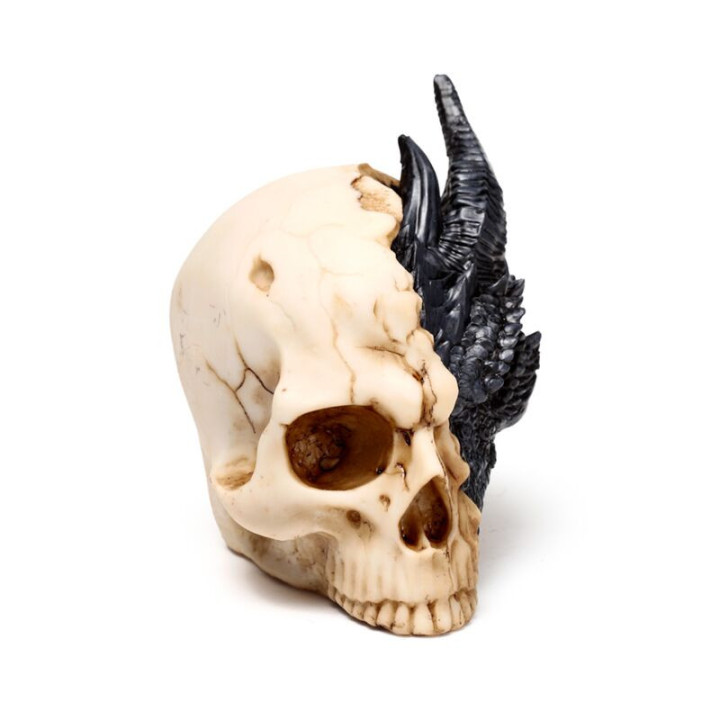 Figurine dragon noir dans un Crâne
