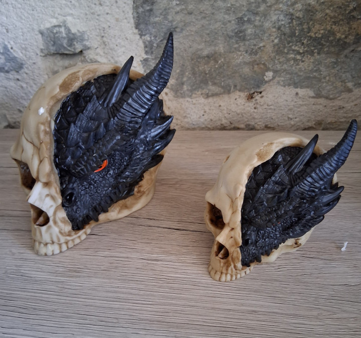 Figurine dragon noir dans un Crâne