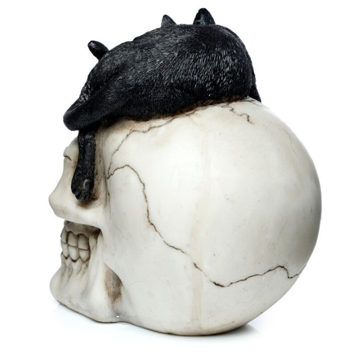 Figurine Crâne avec Chat Noir