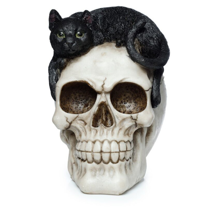 Figurine Crâne avec Chat Noir