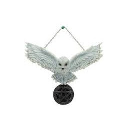 chouette Edwige sur pentacle