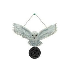 chouette Edwige sur pentacle