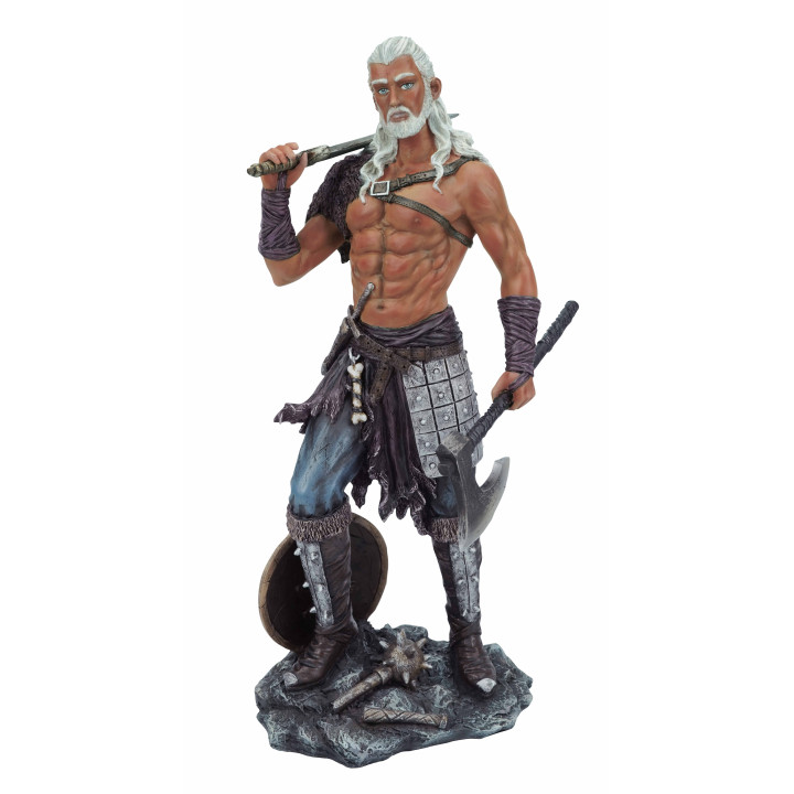 viking / guerrier